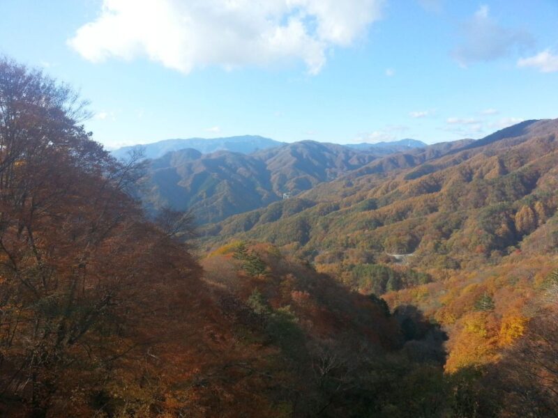 上日川峠付近から山梨側の眺め