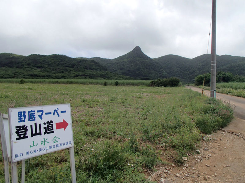 マーペーに続く登山道