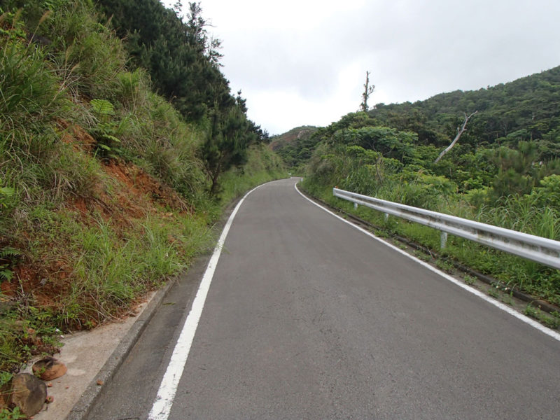 野底林道