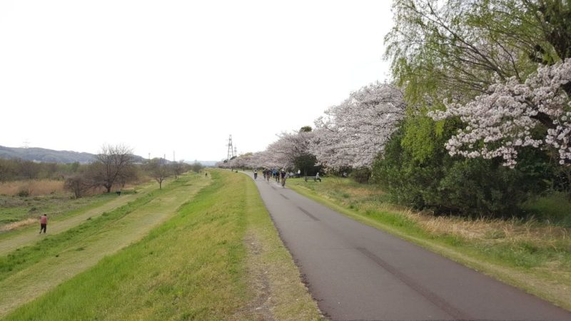 多摩川サイクリングロード