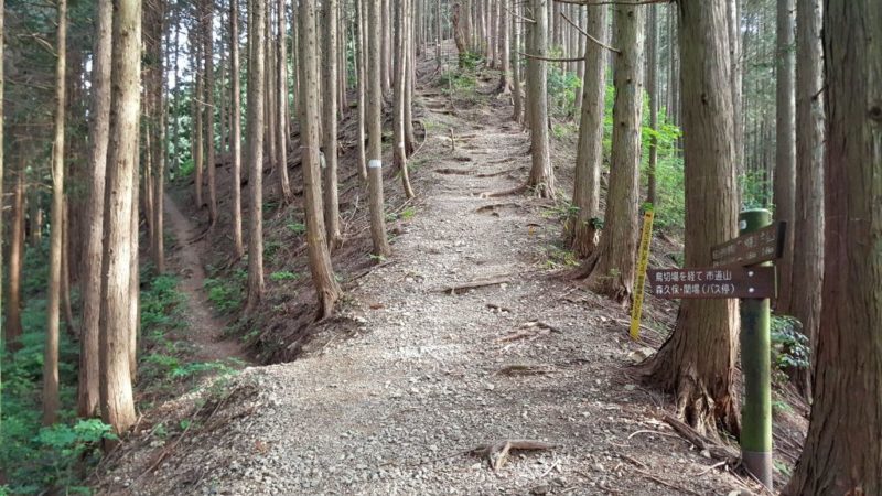 鳥切場前の分岐