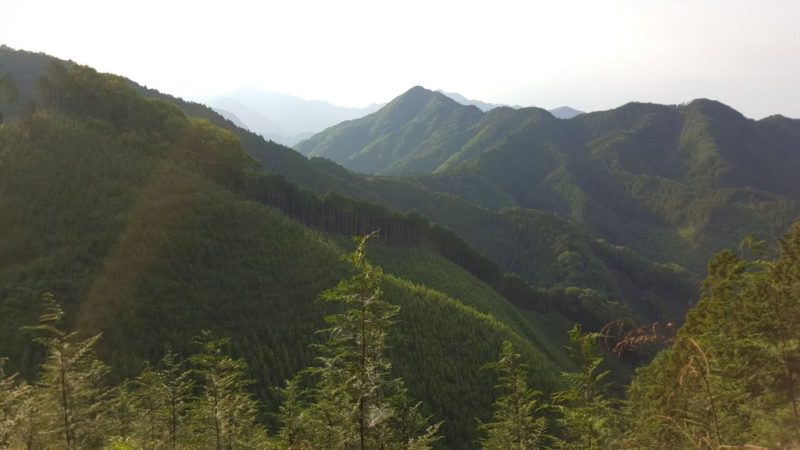 市道山分岐に向かう途中の景観