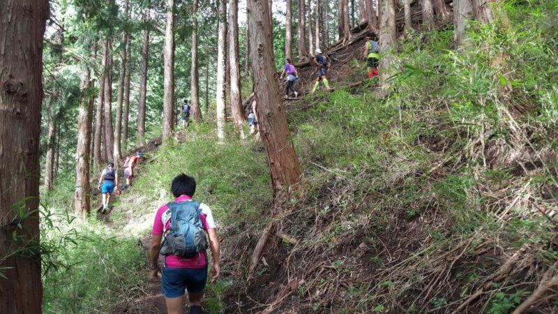 鐘撞山への上り