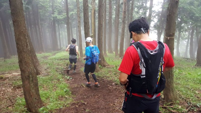 尾根分岐からの下り