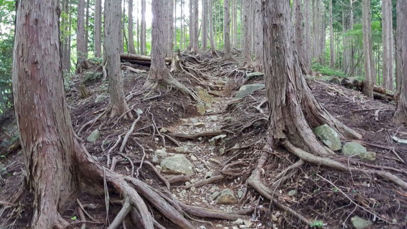 風巻尾根の急坂