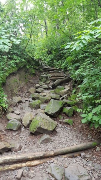 鳥取大山の登山道