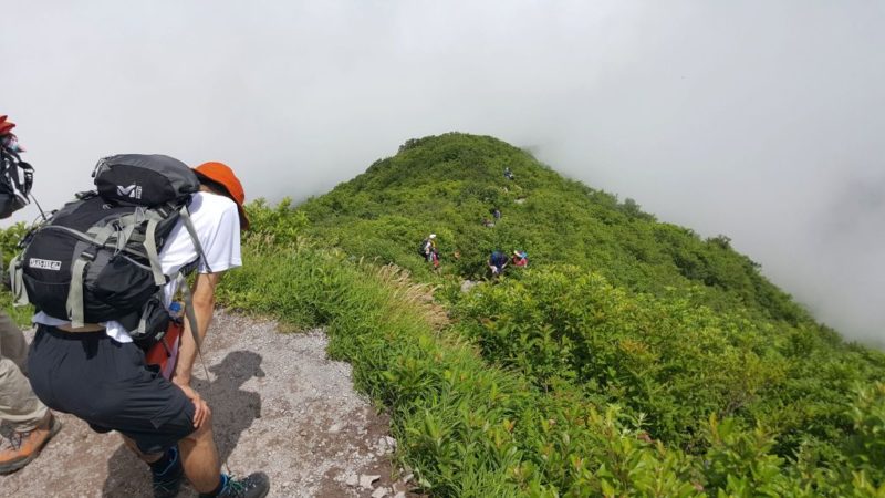 夏山登山道の山頂付近