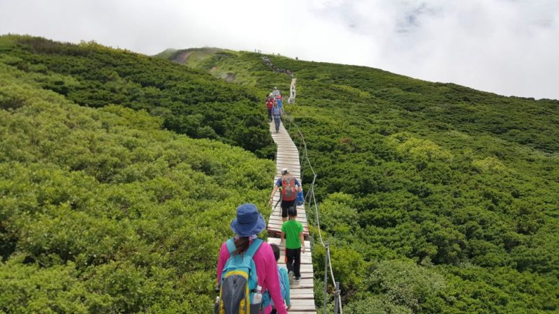 大山山頂の遊歩道