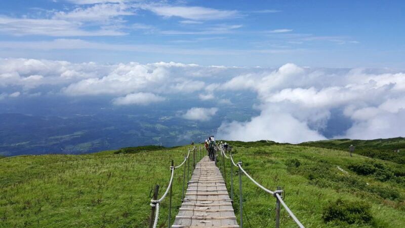 大山山頂からの眺め