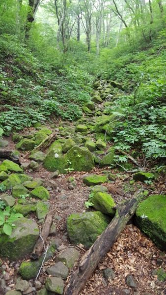 大山の岩場