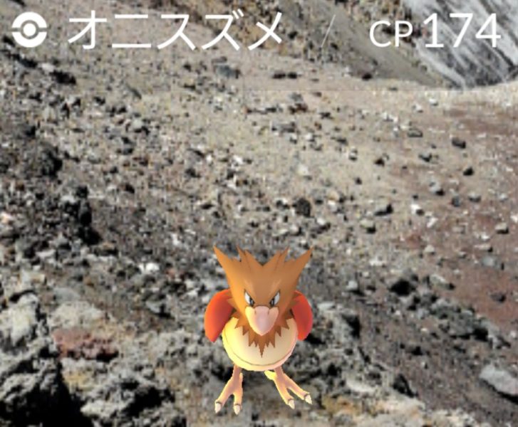 富士山頂のポケモン