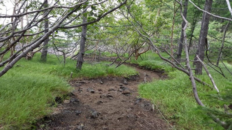 砂払より下の登山道