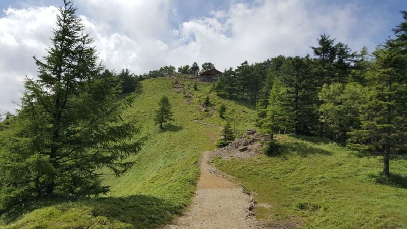 雲取山山頂付近の坂