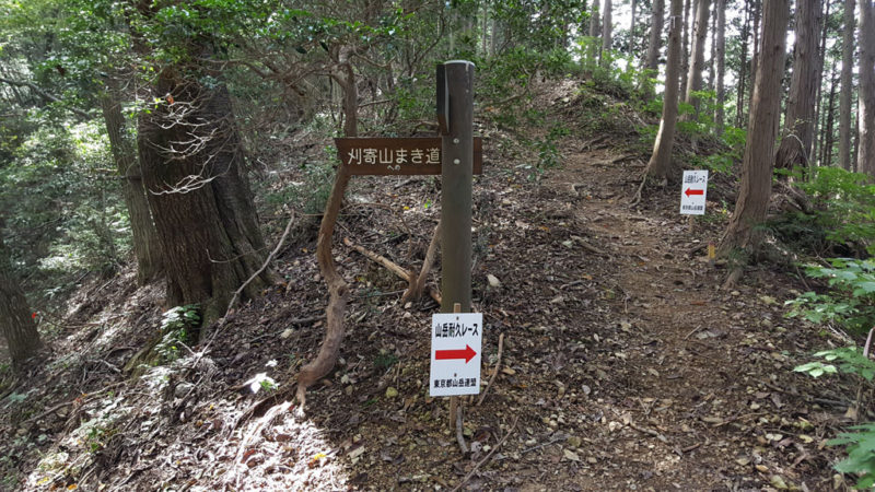 刈寄山前のまき道