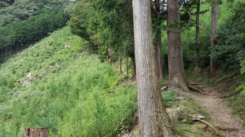 今熊神社奥宮の参道