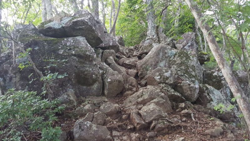 三頭山付近の岩場