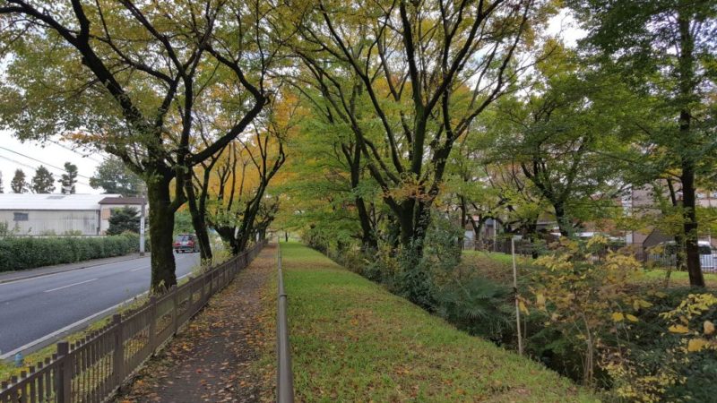 玉川上水の三鷹駅周辺