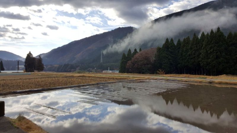 根尾の集落