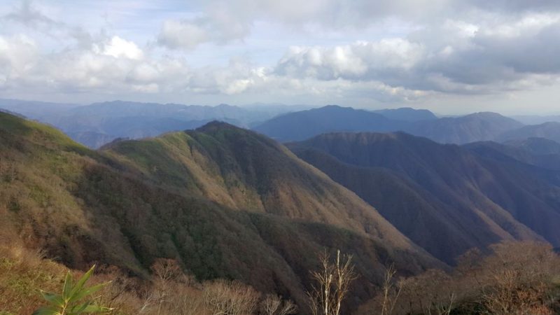 前山からの眺め