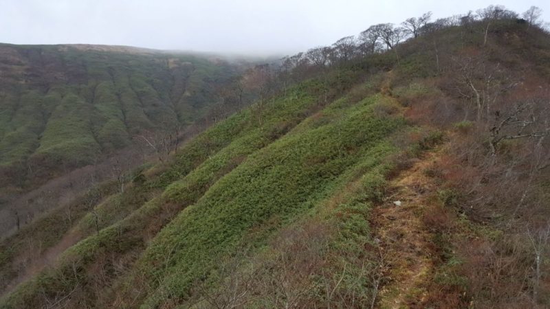 前山～能郷白山の稜線