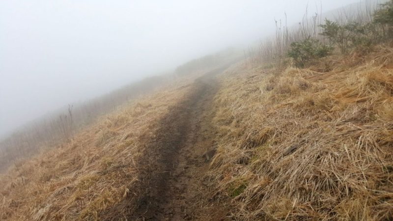 能郷白山、山頂の分かれ道