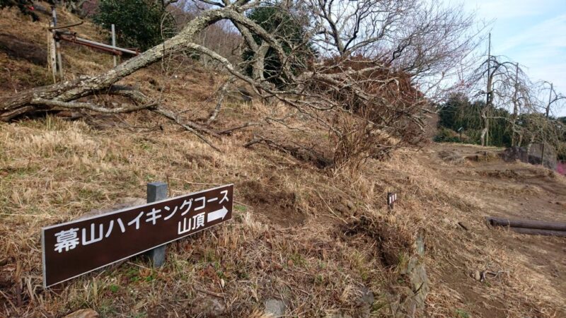 幕山ハイキングコースの入口