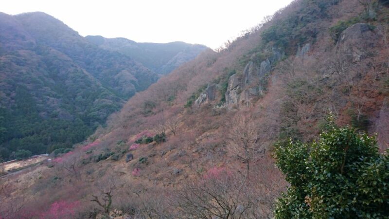 湯河原梅林の幕岩