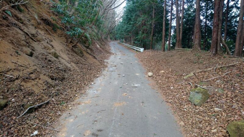 城山に続く林道