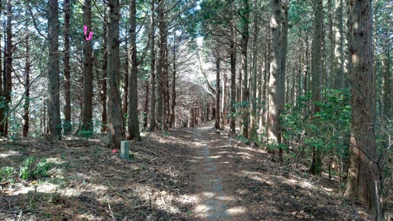 城山から「しとどの窟」へ向かう山道