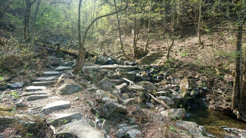 奥多摩の三頭山