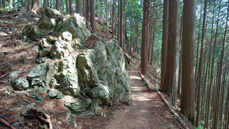 ハセツネコースの危険な岩