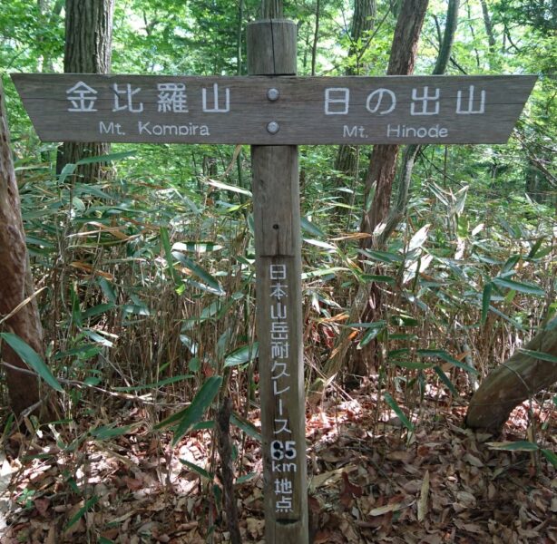 日本山岳耐久レース65km地点