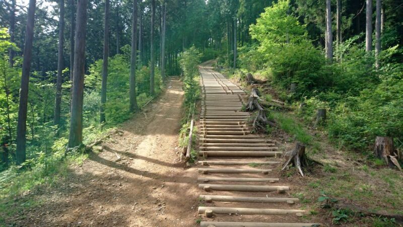 日の出山の山頂前の階段