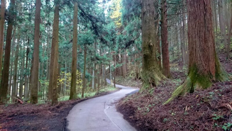 御岳山の参道