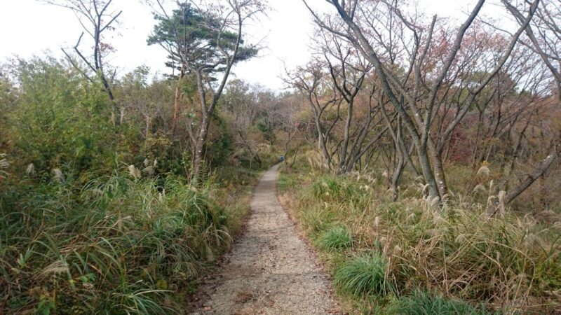 滝山城への道