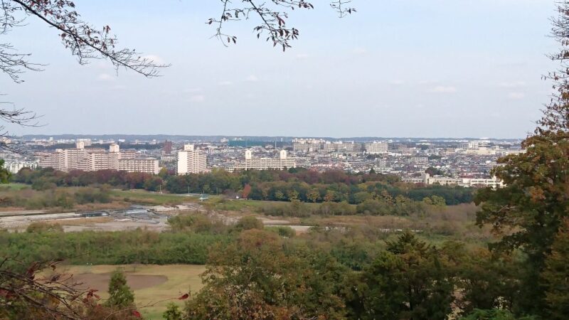 滝山城、中の丸展望台からの眺め