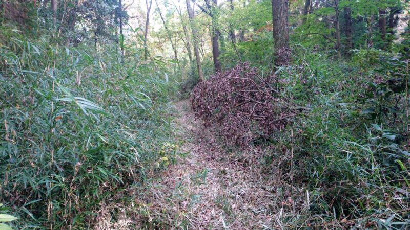 滝山城の藪道