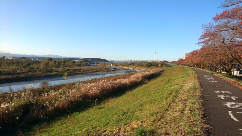 秋の多摩川サイクリングロード