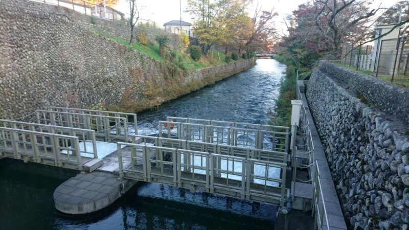 玉川上水の始点