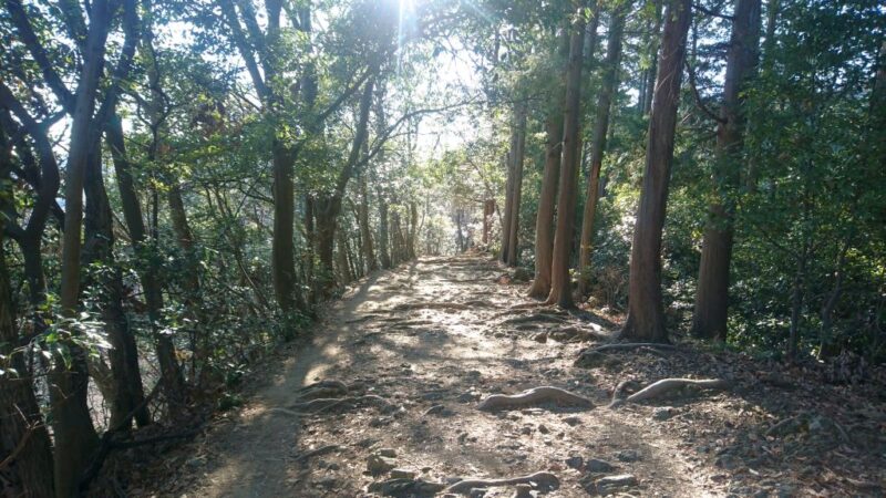 高尾山の稲荷山ルート