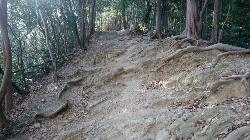 高尾山の稲荷山ルートの路面状況