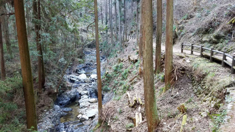 払沢の滝にいたる遊歩道