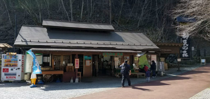 都民の森の売店、とちの実