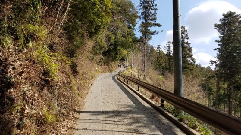 高尾山の1号路