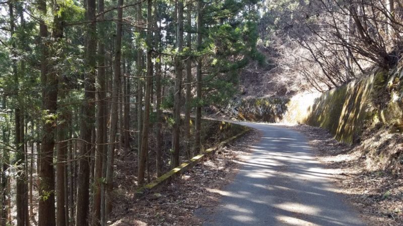 時坂峠にいたる道